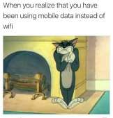 540x564