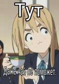 397x554