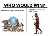 538x382