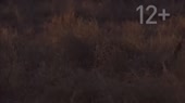 640x360