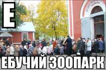 604x402