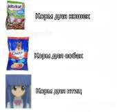 600x578