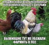 600x562