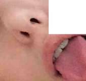 252x238