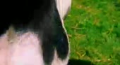 400x220