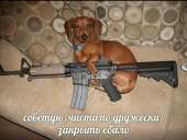 604x456