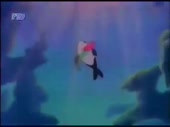 480x360
