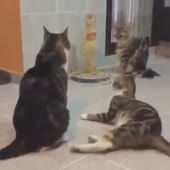 360x360