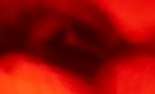 155x94