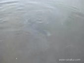 480x360
