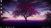 1366x768
