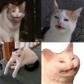 1080x1080