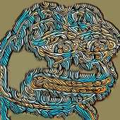 800x800