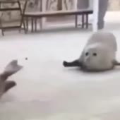 360x360