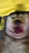 720x1278