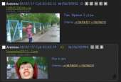 493x338