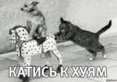 400x284