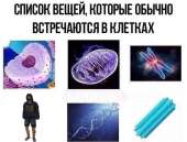 604x460