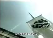 300x220