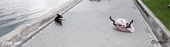 500x140