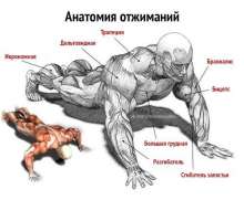 500x412