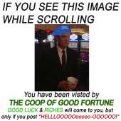 800x800