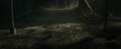 1280x534