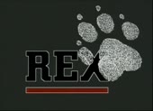 500x364