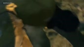 640x360