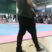 360x360