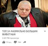 600x572