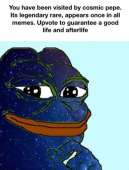 460x606
