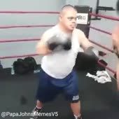 360x360