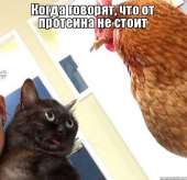 600x580