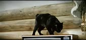 640x298