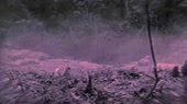 1000x562
