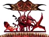 480x360