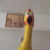 360x360