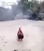 310x360