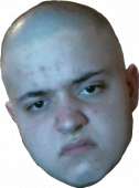 339x454