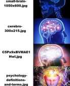626x767