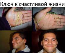 600x493
