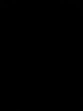 1200x1600