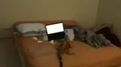 640x360