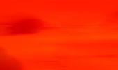 1000x600