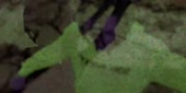 200x100