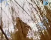 460x360