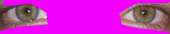 1758x355