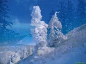 480x360