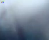 292x240